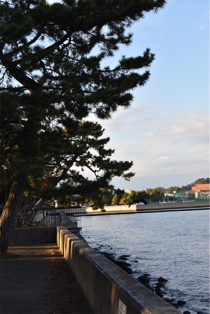 f:id:udonjiro:20240420191245j:image f:id:udonjiro:20240420191245j:image