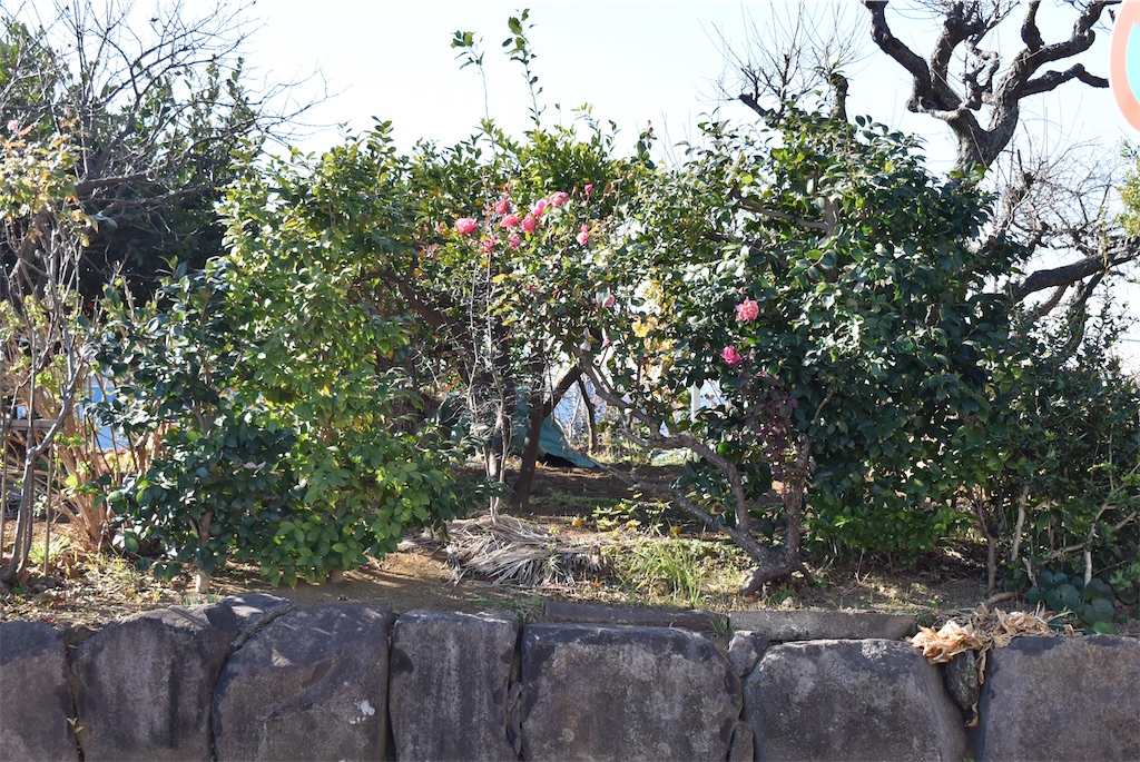 f:id:udonjiro:20240420191539j:image f:id:udonjiro:20240420191539j:image