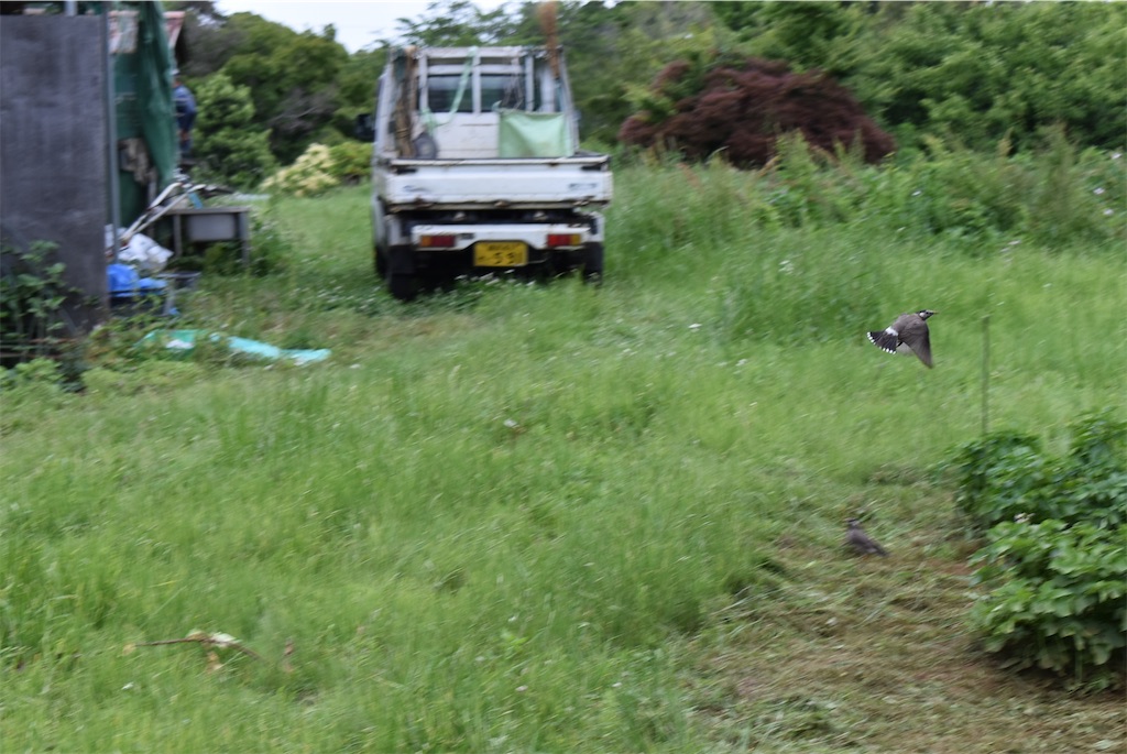 f:id:udonjiro:20240530000329j:image f:id:udonjiro:20240530000329j:image