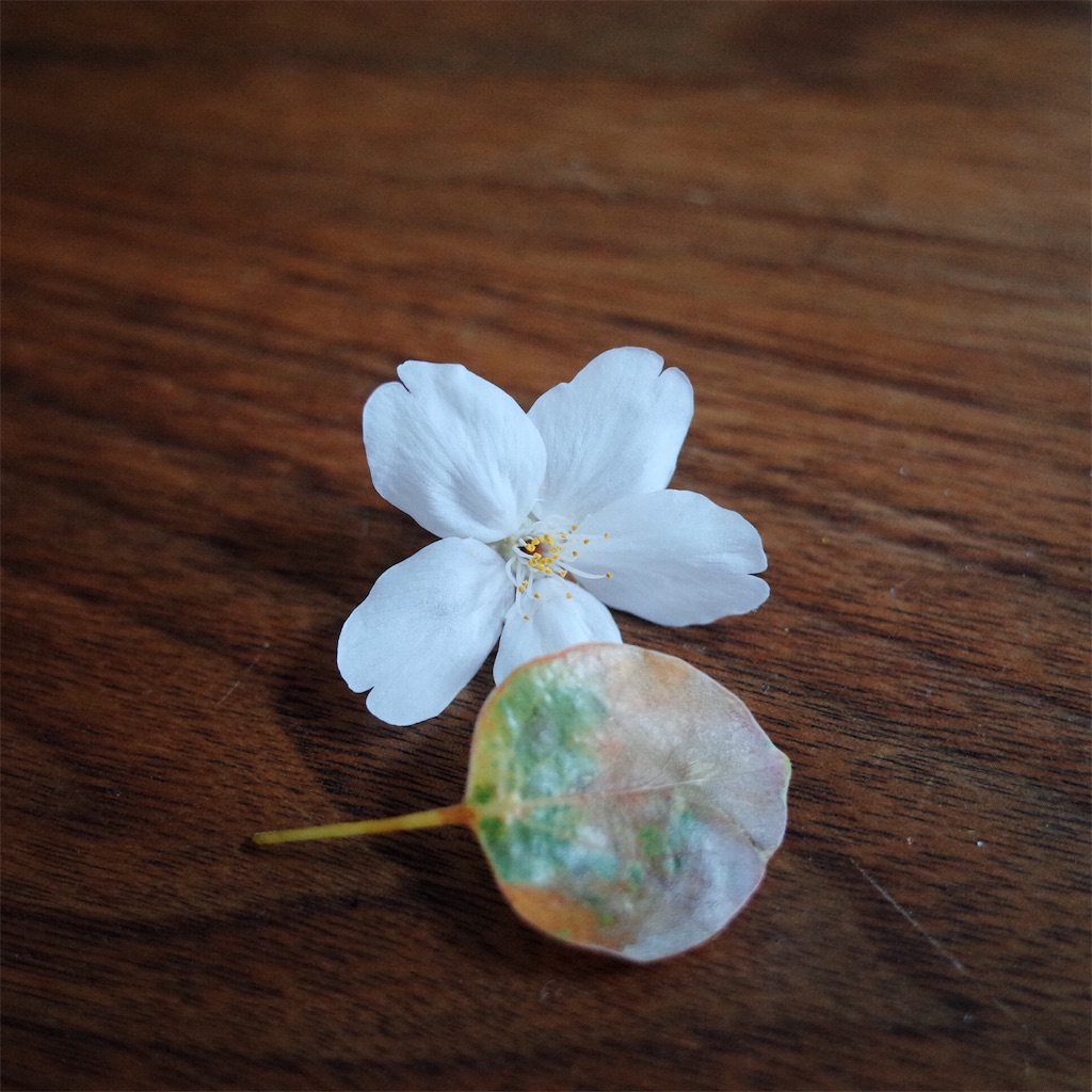 f:id:udonmotch:20160412092045j:image
