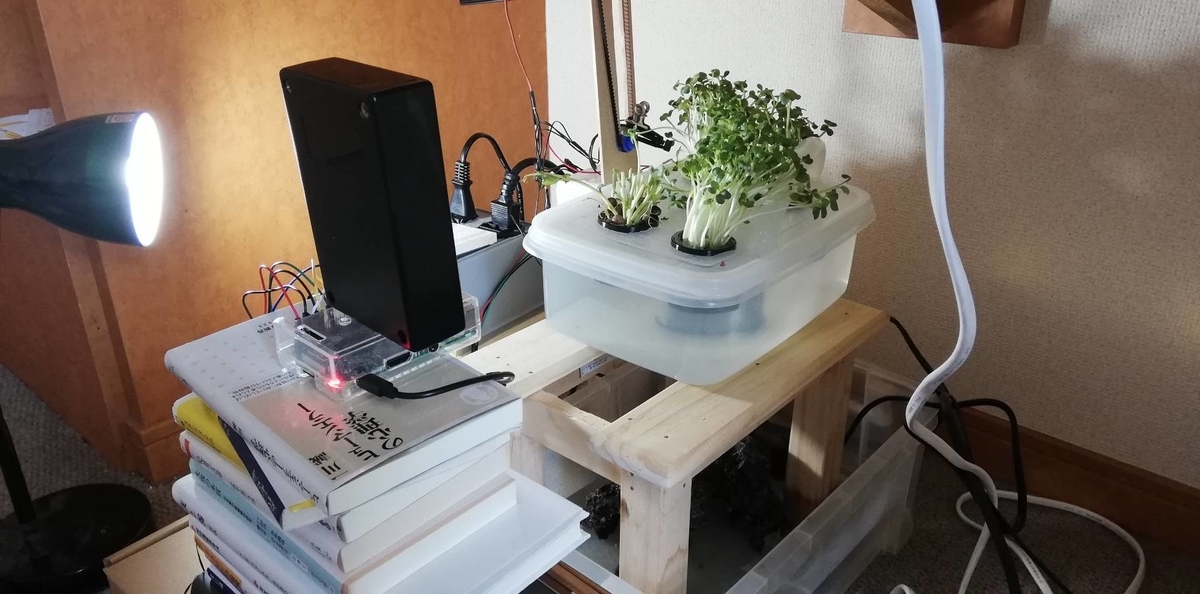 f:id:udonnamerou:20200814095032j:plain