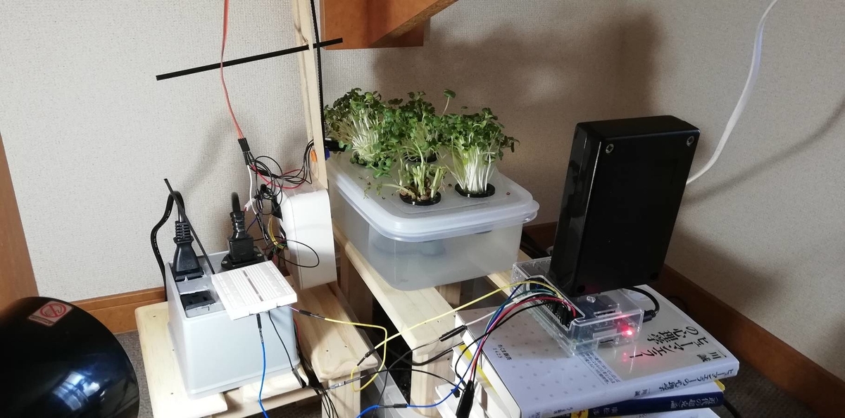 f:id:udonnamerou:20200814095036j:plain