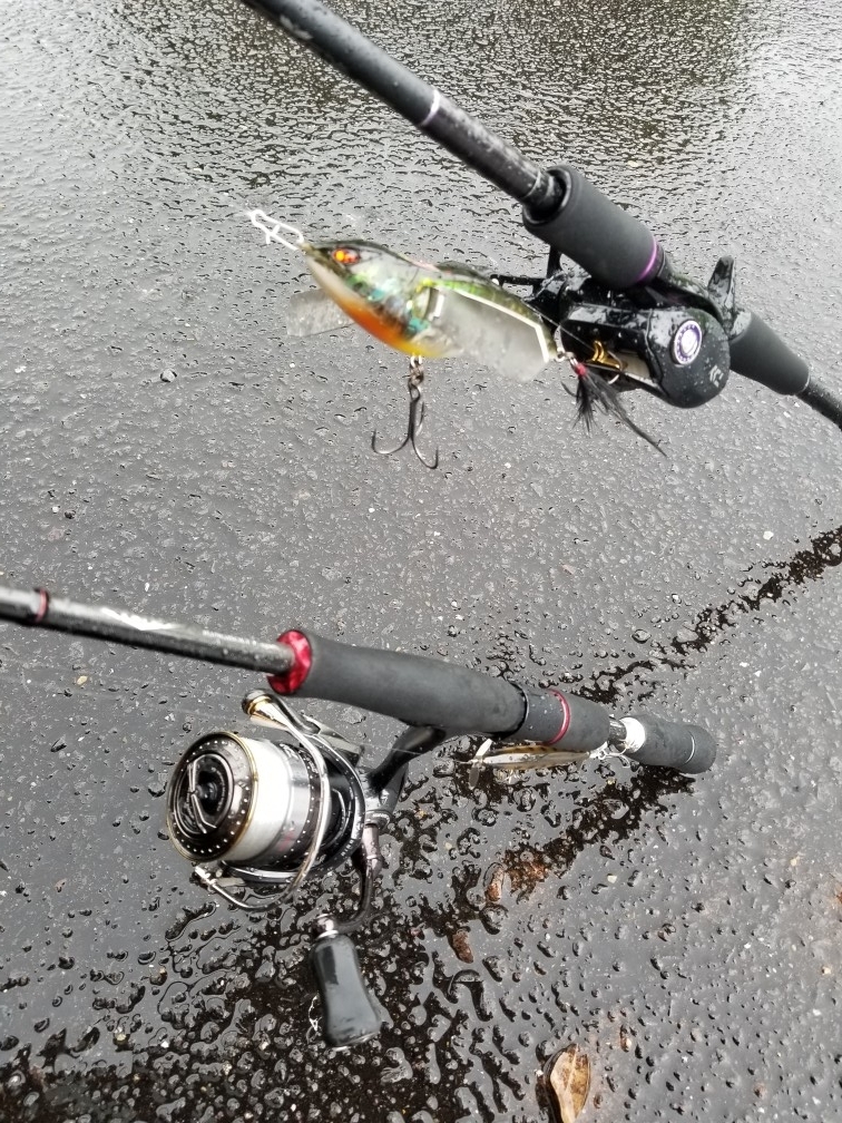 f:id:udqn:20170702142013j:plain