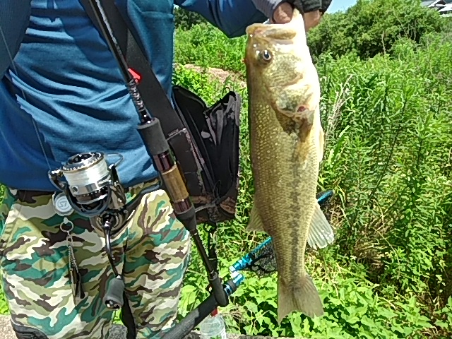 f:id:udqn:20170705164715j:plain