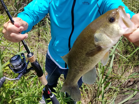 f:id:udqn:20170705165201p:plain