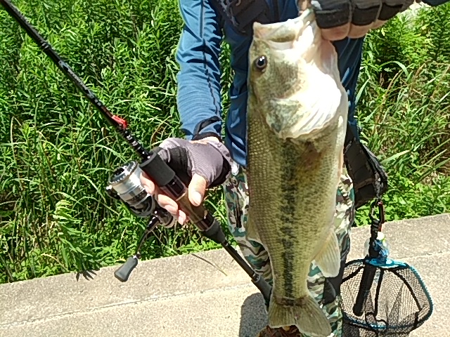 f:id:udqn:20170705165739j:plain