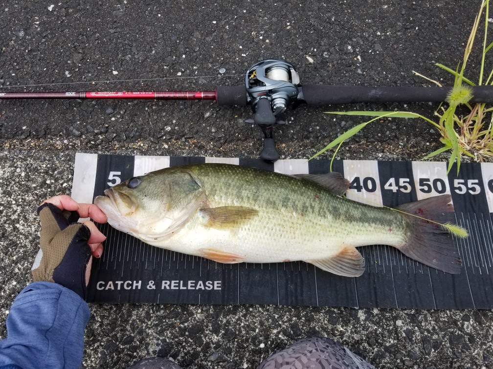 f:id:udqn:20171103103822j:plain