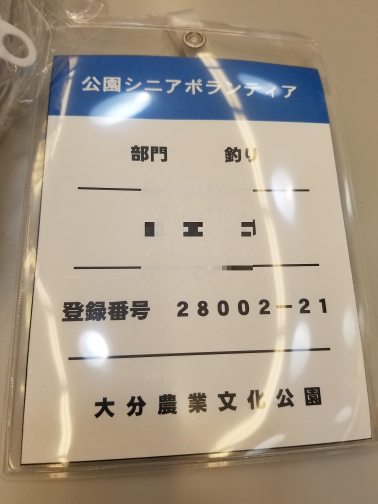 f:id:udqn:20171103103910j:plain