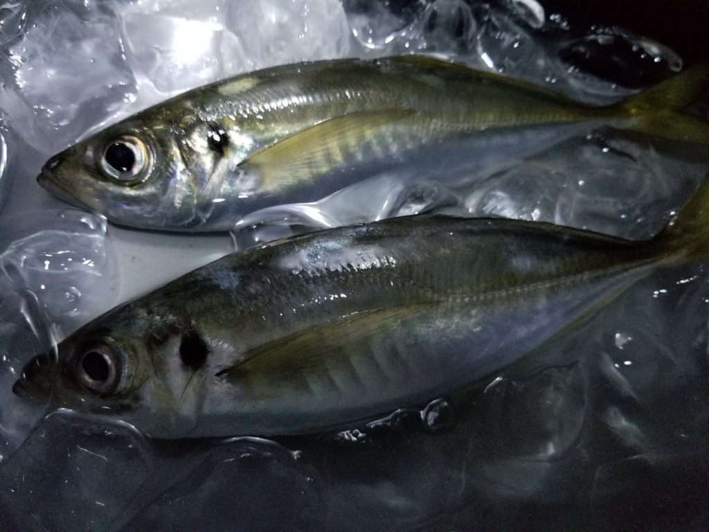 f:id:udqn:20171103105001j:plain