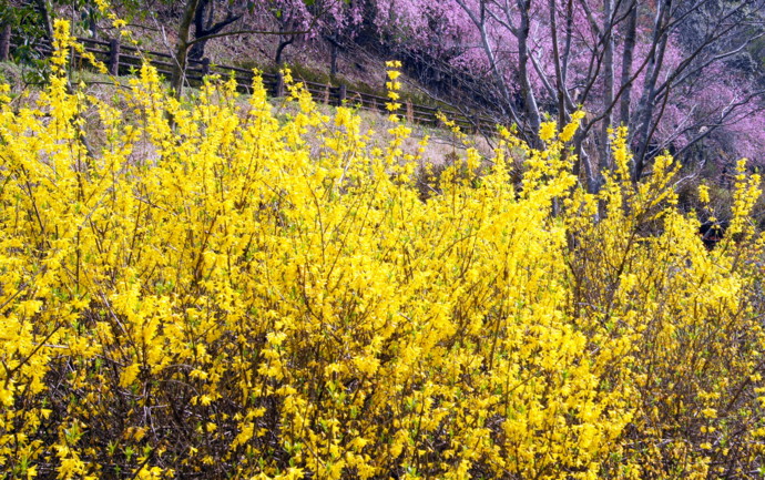 f:id:uduki-249:20120417213901j:image f:id:uduki-249:20120417213901j:image