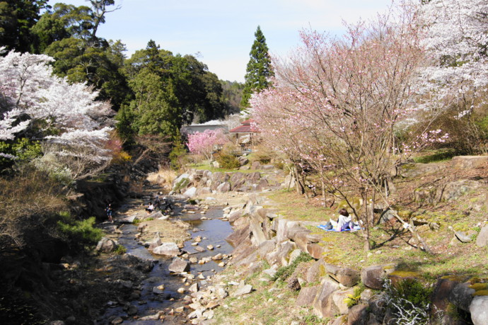 f:id:uduki-249:20120417213934j:image f:id:uduki-249:20120417213934j:image
