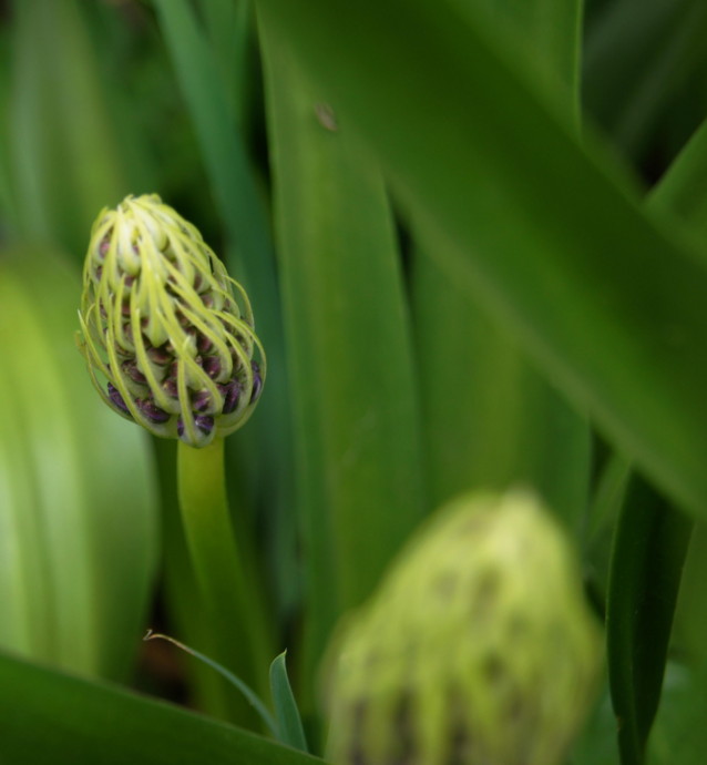 f:id:uduki-249:20120502162920j:image f:id:uduki-249:20120502162920j:image