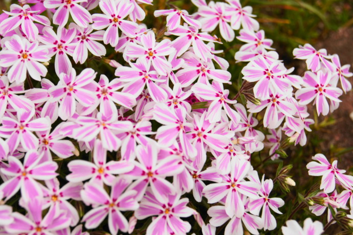 f:id:uduki-249:20120502163003j:image f:id:uduki-249:20120502163003j:image