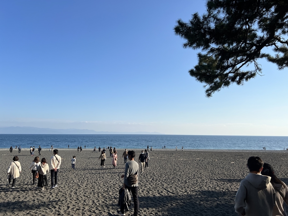 f:id:uduki_0:20211205110645j:plain