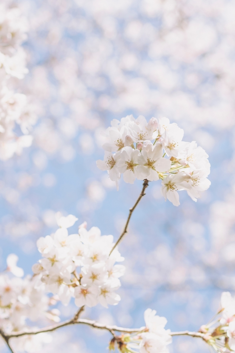 f:id:udzuki27:20200430122726j:plain f:id:udzuki27:20200430122726j:plain