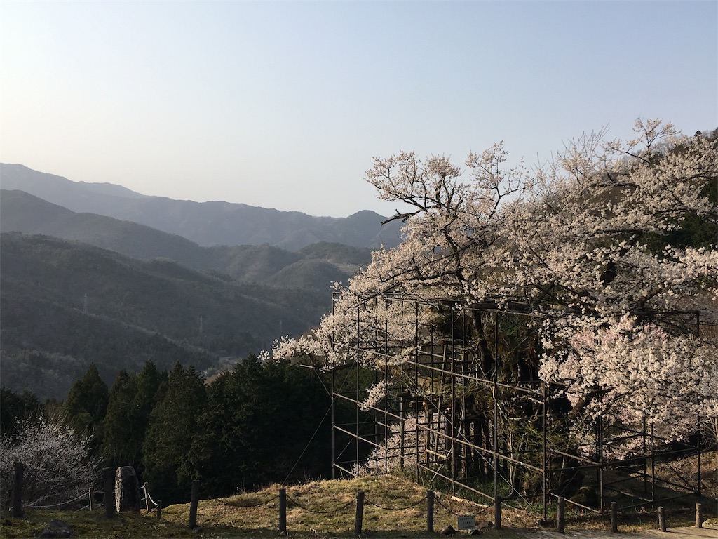 f:id:udzulla:20190407191235j:image f:id:udzulla:20190407191235j:image