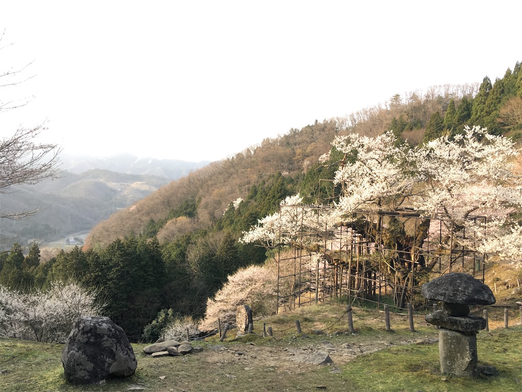 f:id:udzulla:20190407222417j:image f:id:udzulla:20190407222417j:image