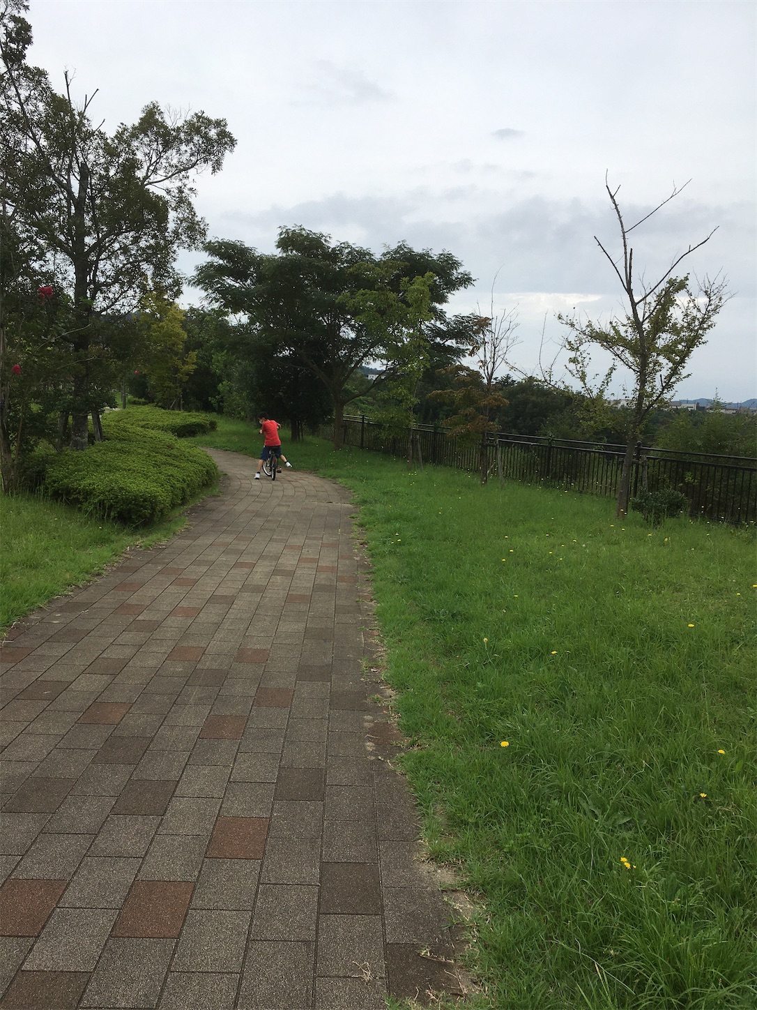 f:id:uechiechan:20210912124232j:image