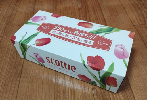 スコッティ（250組入）