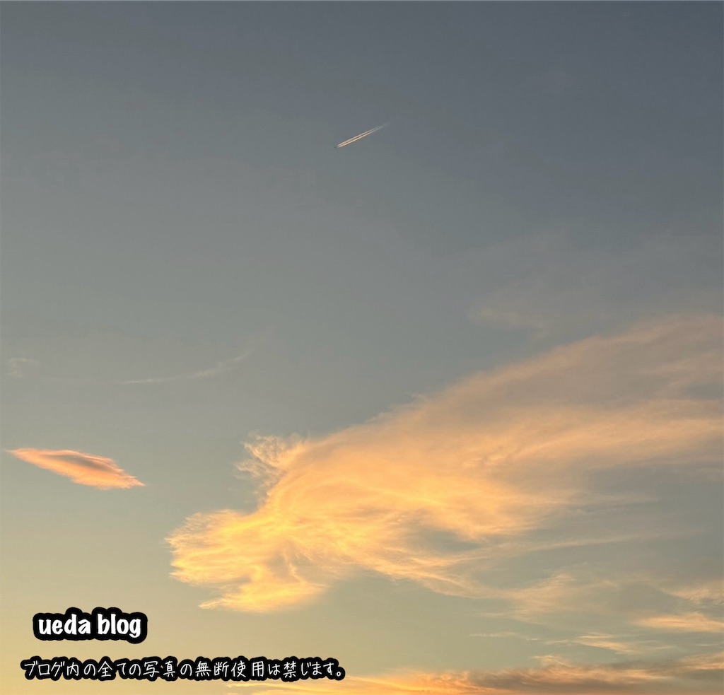 f:id:uedablogdanjiriphot:20260613220258j:image