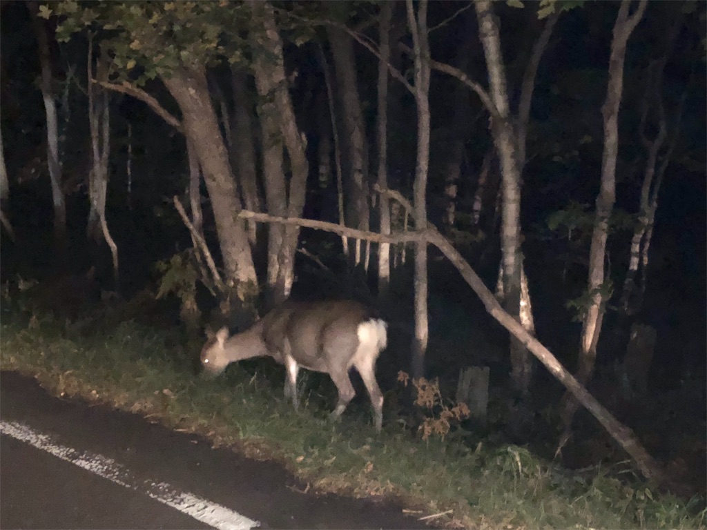 f:id:uehiro_outdoor:20181007093723j:image