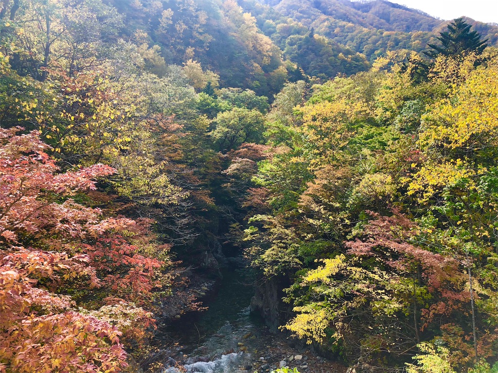 f:id:uehiro_outdoor:20181012194307j:image