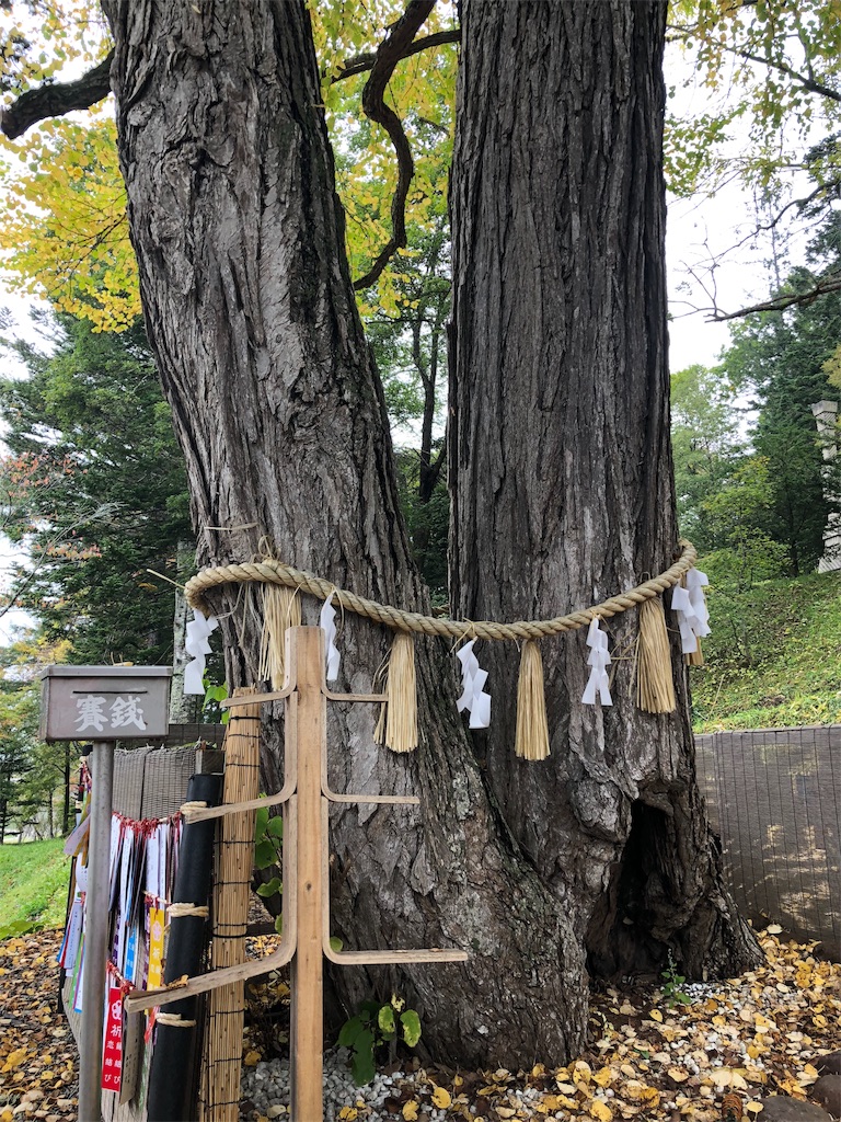 f:id:uehiro_outdoor:20181012195627j:image