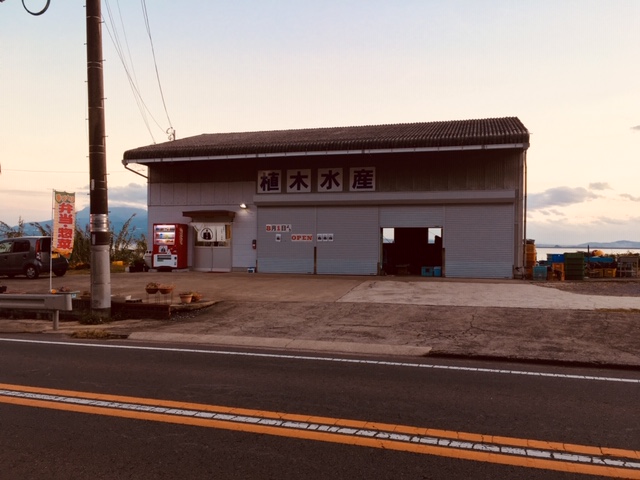 f:id:ueki_suisan:20190519181913j:plain f:id:ueki_suisan:20190519181913j:plain