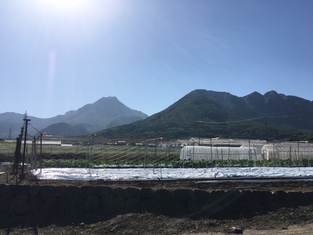 f:id:ueki_suisan:20190524183515j:plain f:id:ueki_suisan:20190524183515j:plain