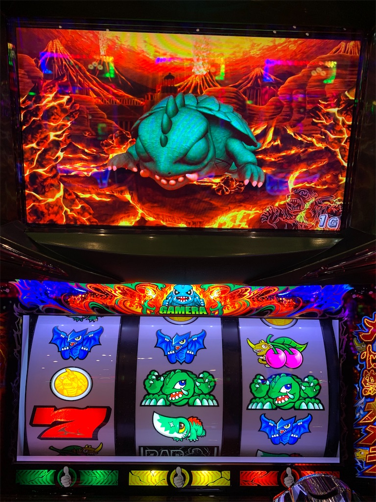 tarou 3種 ガメラG2 2種とドロセラ 種子30個 tarou様 専用 3種 ガメラ