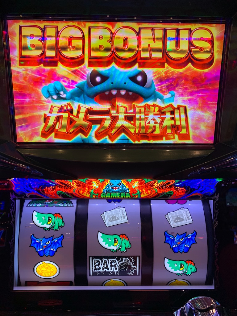 tarou 3種 ガメラG2 2種とドロセラ 種子30個 tarou様 専用 3種 ガメラ