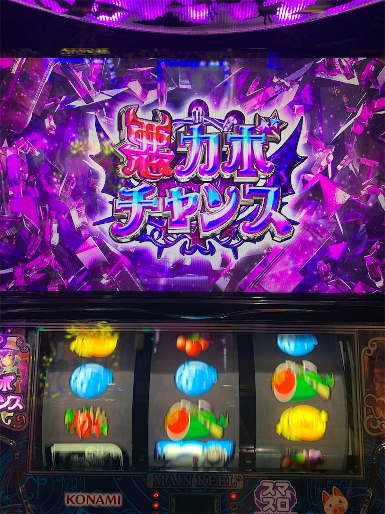 f:id:ueko25:20240123215101j:image f:id:ueko25:20240123215101j:image