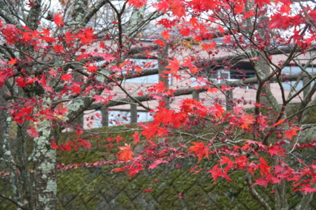 f:id:uelectric:20050810004324j:image f:id:uelectric:20050810004324j:image