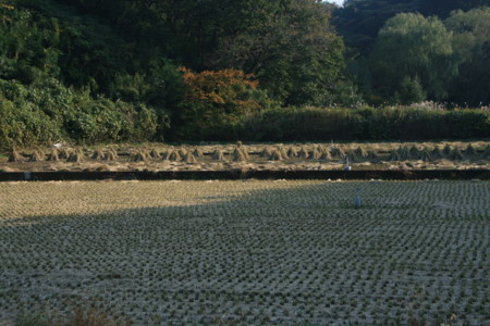 f:id:uelectric:20101108144528j:image f:id:uelectric:20101108144528j:image