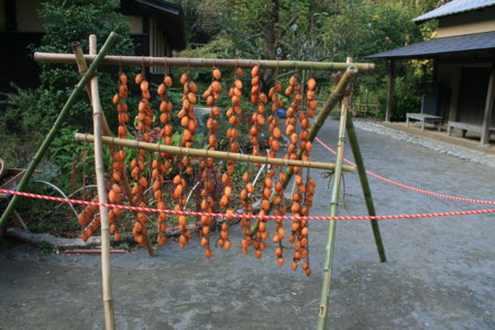 f:id:uelectric:20101108150048j:image f:id:uelectric:20101108150048j:image