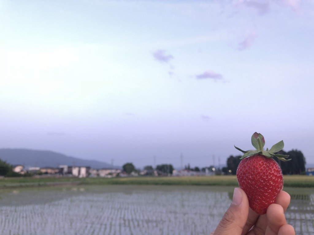 f:id:uemina323:20180528181733j:plain f:id:uemina323:20180528181733j:plain