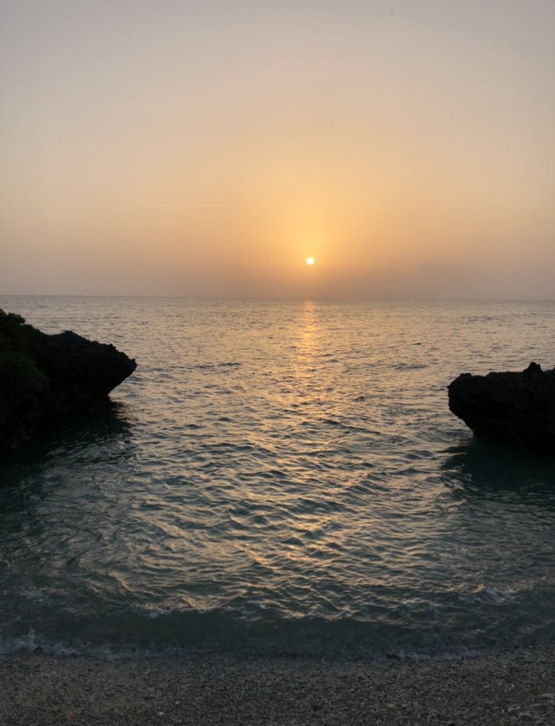 f:id:uemina323:20180529145852j:plain f:id:uemina323:20180529145852j:plain