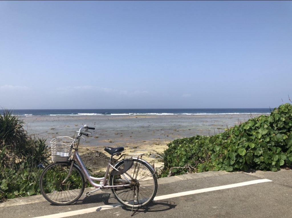 f:id:uemina323:20180529150008j:plain f:id:uemina323:20180529150008j:plain