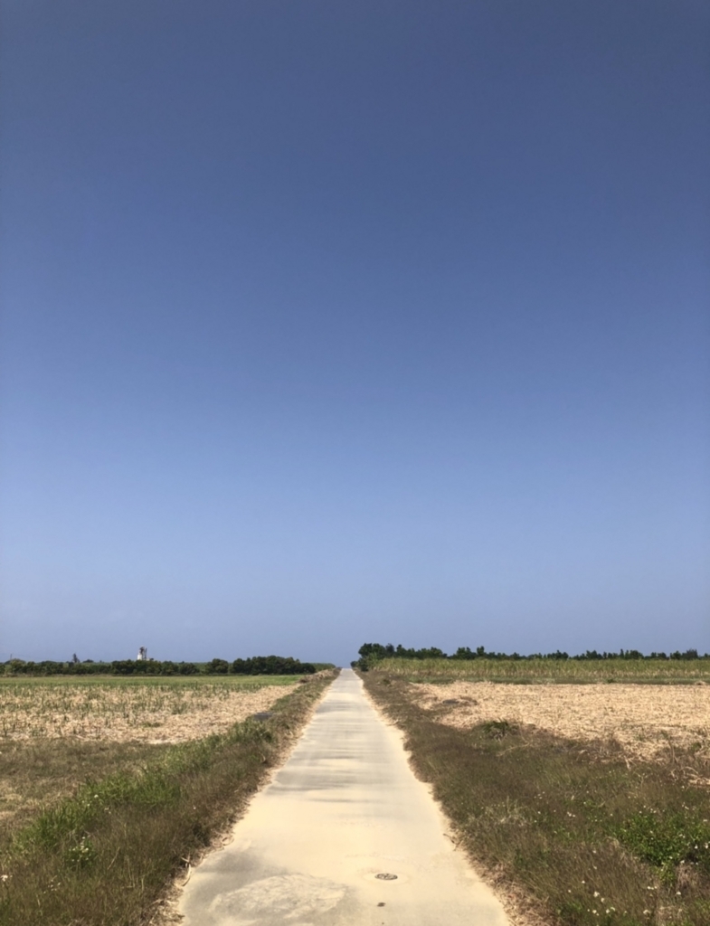 f:id:uemina323:20180529150042j:plain f:id:uemina323:20180529150042j:plain