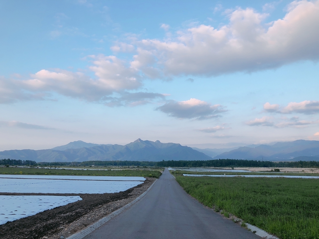 f:id:uemina323:20180602232724j:plain f:id:uemina323:20180602232724j:plain