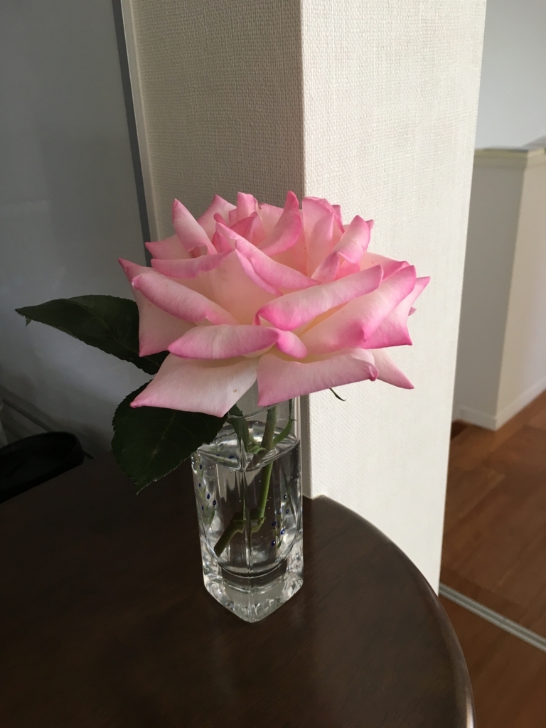 f:id:uemukirose:20180608215004j:plain