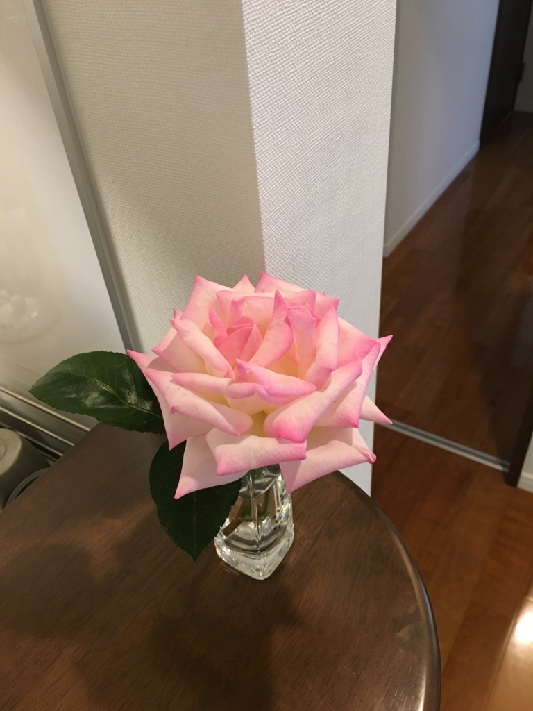 f:id:uemukirose:20180609220352j:plain