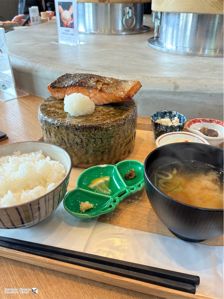 f:id:ueneusarumidori71:20260621221825j:image