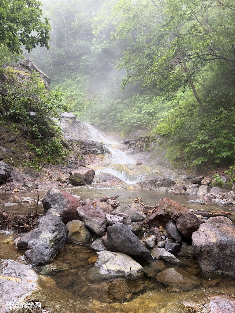 f:id:ueneusarumidori71:20260705224148j:image