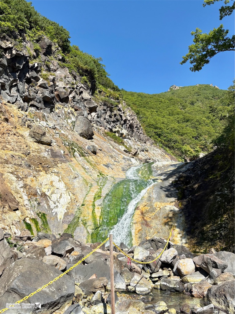f:id:ueneusarumidori71:20260809230059j:image f:id:ueneusarumidori71:20260809230059j:image