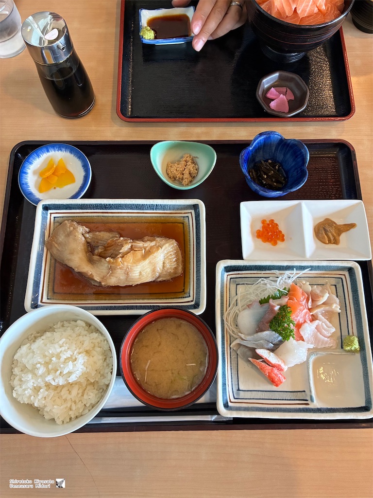 f:id:ueneusarumidori71:20260809230347j:image f:id:ueneusarumidori71:20260809230347j:image