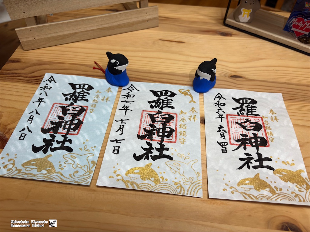 f:id:ueneusarumidori71:20260809230405j:image f:id:ueneusarumidori71:20260809230405j:image