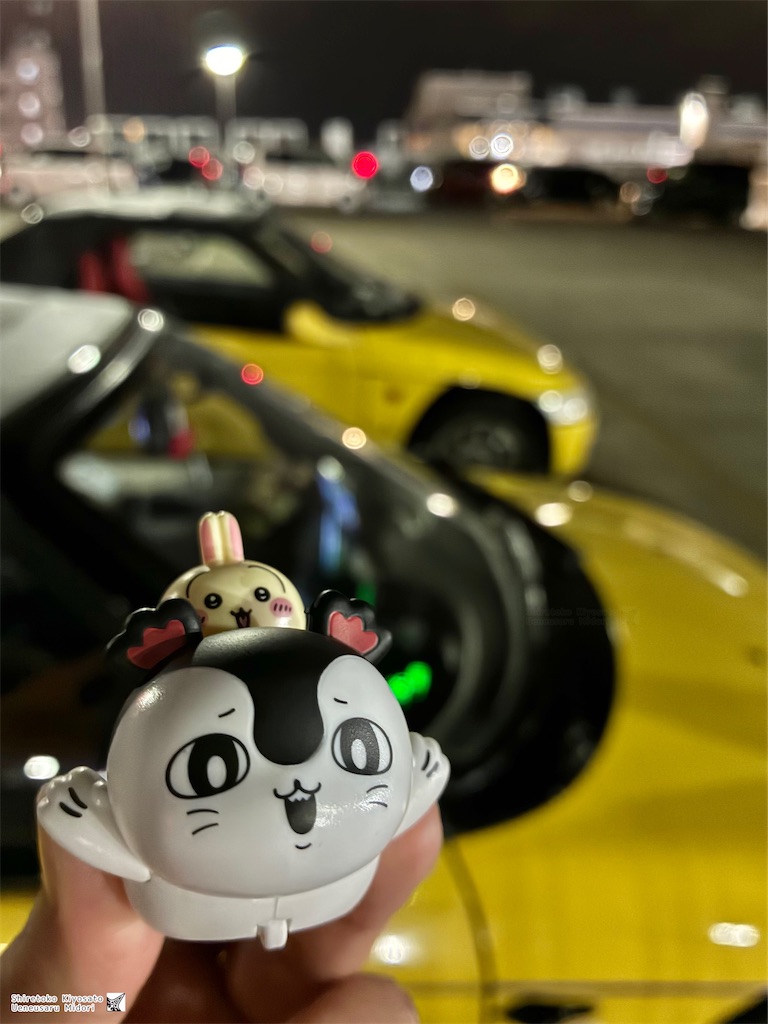f:id:ueneusarumidori71:20260823235516j:image f:id:ueneusarumidori71:20260823235516j:image