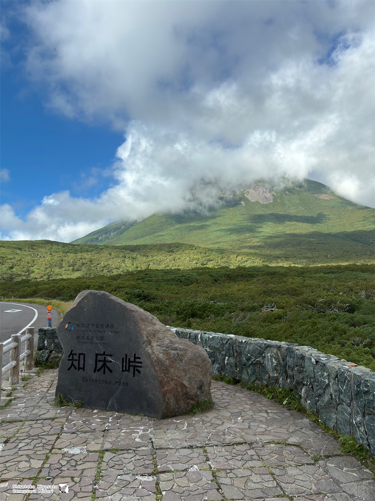 f:id:ueneusarumidori71:20260830233739j:image f:id:ueneusarumidori71:20260830233739j:image