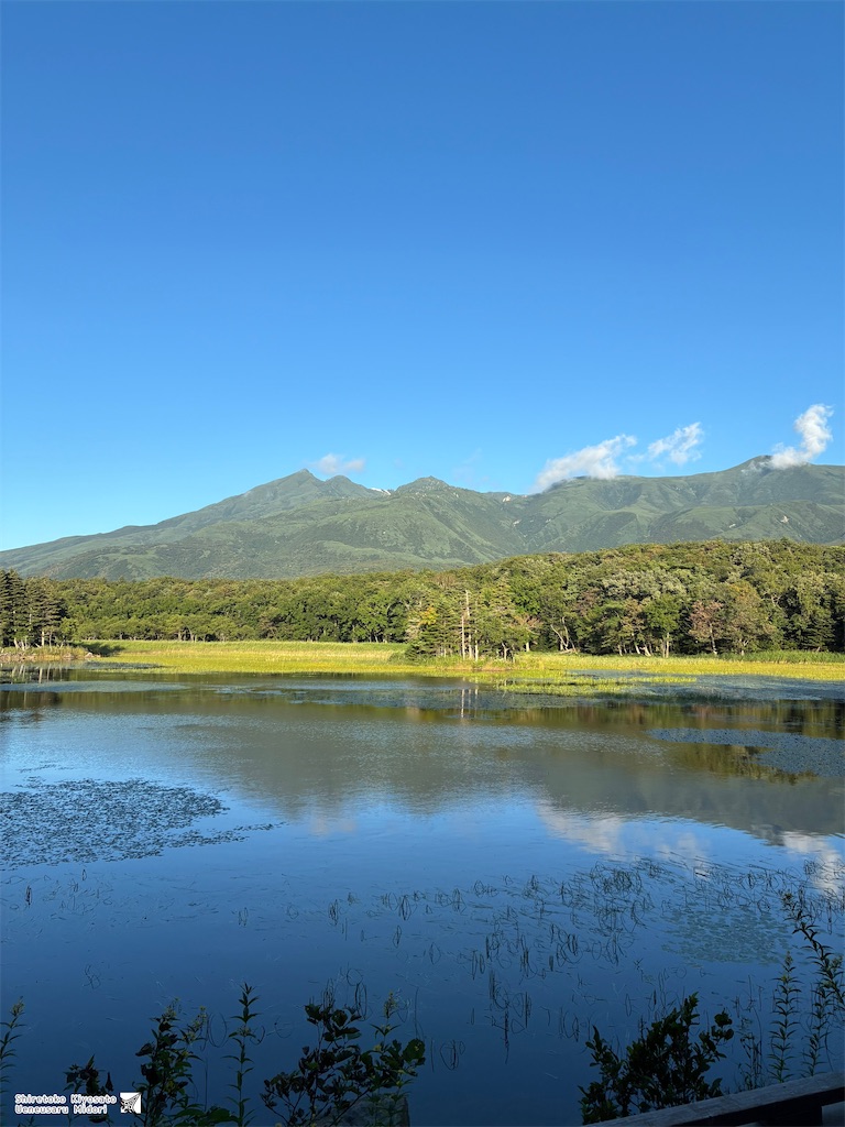 f:id:ueneusarumidori71:20260830233749j:image f:id:ueneusarumidori71:20260830233749j:image